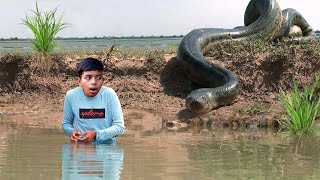 Anaconda Snake Attack Fish Hunter  Fun made Giant Snake Attack and Rescue Film [upl. by Kellie299]