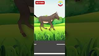 Animal Names  Kids Videos for Kids  Toddlers Videos  Animals Name for Kids  preschool  Animals [upl. by Gamages]