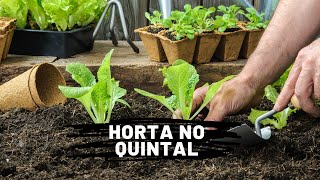 COMO FAZER HORTA NO QUINTAL PASSO A PASSO [upl. by Lecrad]