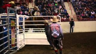 Bullride Mania at the Pennsylvania Farm Show Complex [upl. by Atinna46]