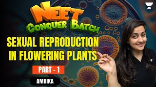 Sexual Reproduction in Flowering Plants  Part  1  NEET 2024 Conquer Batch  Ambika Sharma [upl. by Belac]