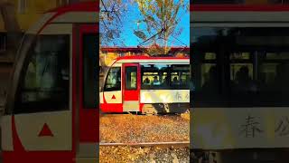 Changchun in autumn respect ballisllife dancegifs [upl. by Damal]