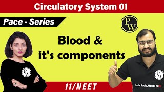 Circulatory System 01  Blood and its components  Class 11 NEET  PACE SERIES [upl. by Charis]