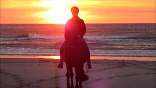 IJslanders tölten op het strand bij zonsondergang Terschelling [upl. by Ralip]