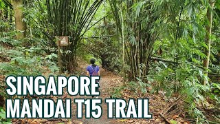 Hiking Singapore Mandai T15 Trail starting from Chestnut Nature Park Observation Tower to Mandai Rd [upl. by Llenyaj102]