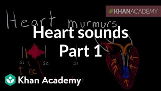 Heart Sounds and Heart Murmurs Animation [upl. by Benisch401]