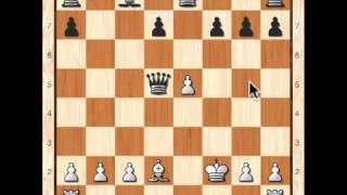 Chess Tactics Discovered Attacks [upl. by Ranie863]