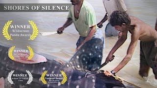 Whale Shark Slaughter in India  Shores of Silence  Green Oscar Winner [upl. by Grete595]