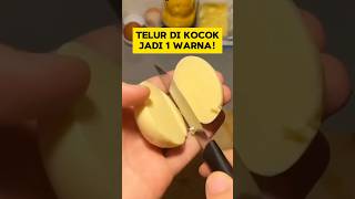 KOCOK 1 TELUR UTUH PAKE KAOS KAKI BAKAL JADI … [upl. by Sorci]