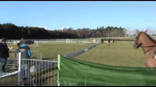 Coursing Clonmel 2011 [upl. by Oetomit]