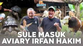 HAPPY NYA IRFAN HAKIM KETIKA SULE MASUK AVIARY [upl. by Yramanna]