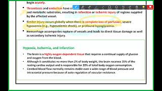 CNS Pathology  Vascular Disease of the CNS  Mutah [upl. by Engenia]