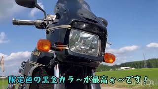 ZRX1200Rエクステリアampサウンド♪川崎川崎重工カワサキKawasakizrx1200rマフラーサウンド二輪バイクカスタム二輪車 [upl. by Zeitler]