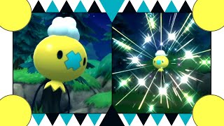 LIVE Shiny Drifloon após 5670 resets  DTQ4 [upl. by Ahsel151]