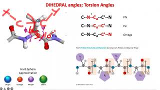 Protein Structure Folding and Function  Part 5 [upl. by Ecnerewal]