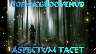 CosmicGrooveHub  ASPECTUM TACET Gregorian amp Downtempo [upl. by Nelon]