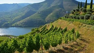 Portugals River of Gold  Cruising the Douro River with Viking River Cruises [upl. by Acirea567]