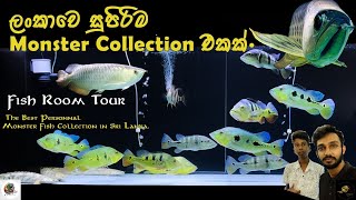 The best ever Monster Collection in Sri Lanka 🇱🇰  ලංකාවේ සුපිරිම Monster Collection එක ❤️ [upl. by Ainar723]