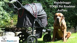 Hundebuggy im Test  Der TOGfit Pet Roadster [upl. by Hachmin]