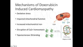 Doxorubicin Induced Cardiomyopathy [upl. by Aihsek]