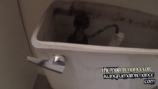 How To Tighten Up Loose Toilet Handle [upl. by Christabella555]