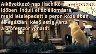 Hachiko  Egy hűséges kutya története [upl. by Fulks596]