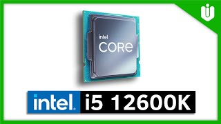 Intel 12th Gen i5 12600K Benchmark What is THIS PERFORMANCE [upl. by Coats]