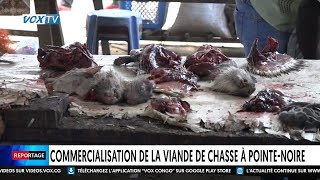 Commercialisation de la viande de chasse à Pointe Noire [upl. by Lea932]