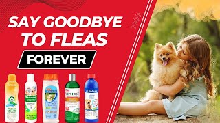 Best Flea Shampoo For Dogs  Keep Your Dogs Coat Clean and FleaFree [upl. by Linetta82]