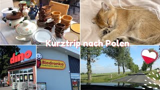 Einkaufen in Polen mit Mama 🇵🇱 Unser neues Familienmitglied 😍 VLOG [upl. by Llehsim]