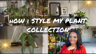 Creative ways I style 300 Houseplants Display tips and tricks [upl. by Belshin]