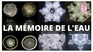 LEAU A UNE MÉMOIRE ET PEUT ÊTRE CHARGÉE ET PROGRAMMÉE AVEC DES INTENTIONS [upl. by Airekahs42]