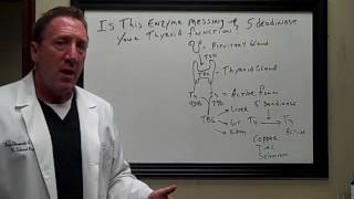 Thyroid Recovery When theres a mess up with an enzyme [upl. by Akcirederf]