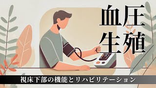 【☑︎視床下部の役割と脳画像】血圧調整生殖ホルモンリハビリテーションまで [upl. by Leirza]