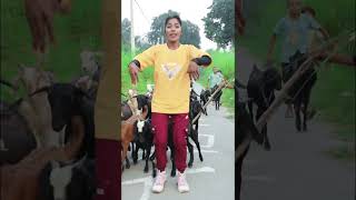 JANE DE JANE THHODI HAWA AANE DE dance dibyanidancer shortsvideo viralshorts dancer reels [upl. by Dj]