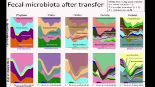 Microbiome and Obesity  Martin Blaser [upl. by Rimma331]