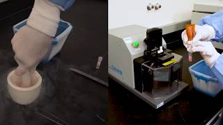 cryoPREP Dry Pulverization in Action [upl. by Attem]