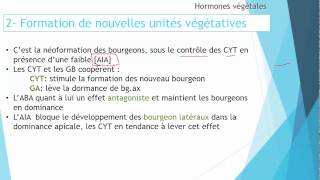 S5 Croissance et développement des plantes  Roles des hormones II 34 [upl. by Hukill]