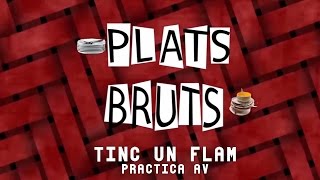 Remake Plats Bruts  Tinc un flam [upl. by Reiter]