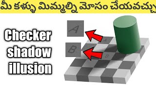 Checker shadow illusion  opticalillusion experiment [upl. by Yrrum622]