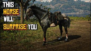 RDR2  It’s Better Than You Know  Rabicano Resilience amp Rehab  Claim This Horse As Yours [upl. by Anoo]