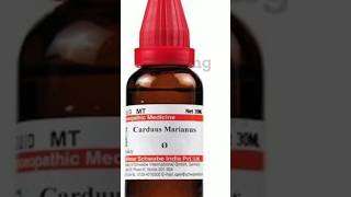 carduusmarians mothertincture homeopathic for fatty liver shortvideo [upl. by Korfonta]