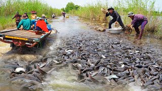 Collation Best 5 Fishing Videos on Road Flooded  Amazing Catching amp Catfish Swimming on Road [upl. by Luebke512]