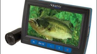 AquaVu Underwater viewing system  Bass fishing bassfishing icefishing underwater smallmouth [upl. by Yehtomit]