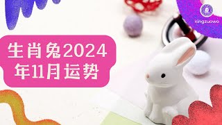 2024年11月属兔人运势 属兔2024年11月运程生肖兔 2024年运势 11月运势 属兔运势 [upl. by Naharba]