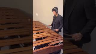 SCV 2018 Marimba Intro  Alvin Chung Marimba [upl. by Nerland]