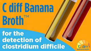 C diff Banana Broth™ for the detection of Clostridioides difficile [upl. by Wenonah899]