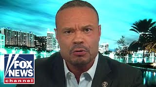 Bongino reacts to second whistleblower blasts NBCs Chuck Todd [upl. by Vogeley]