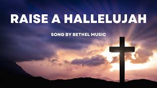 Raise a Hallelujah lyrics only [upl. by Naux]