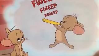 Tom and Jerry cartoon episode 131  Much Ado About Mousing 1964  Funny animals cartoons for kids [upl. by Imij]